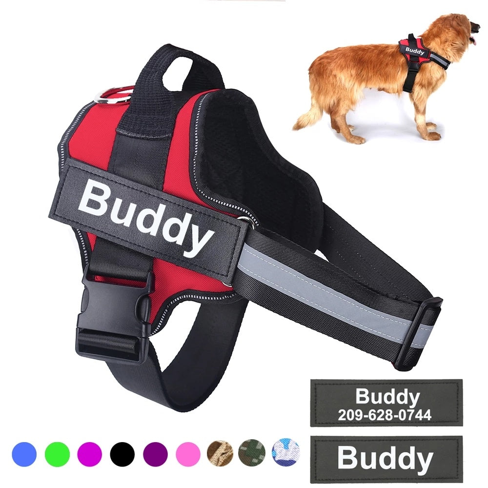 Pet Charms with Personality: Style Your Fur Baby