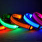 Nylon LED Pet Dog Luminous Collar Night Safety Flashing Glow in Dark Dog Cat Leash Adjustable Pet Supplies